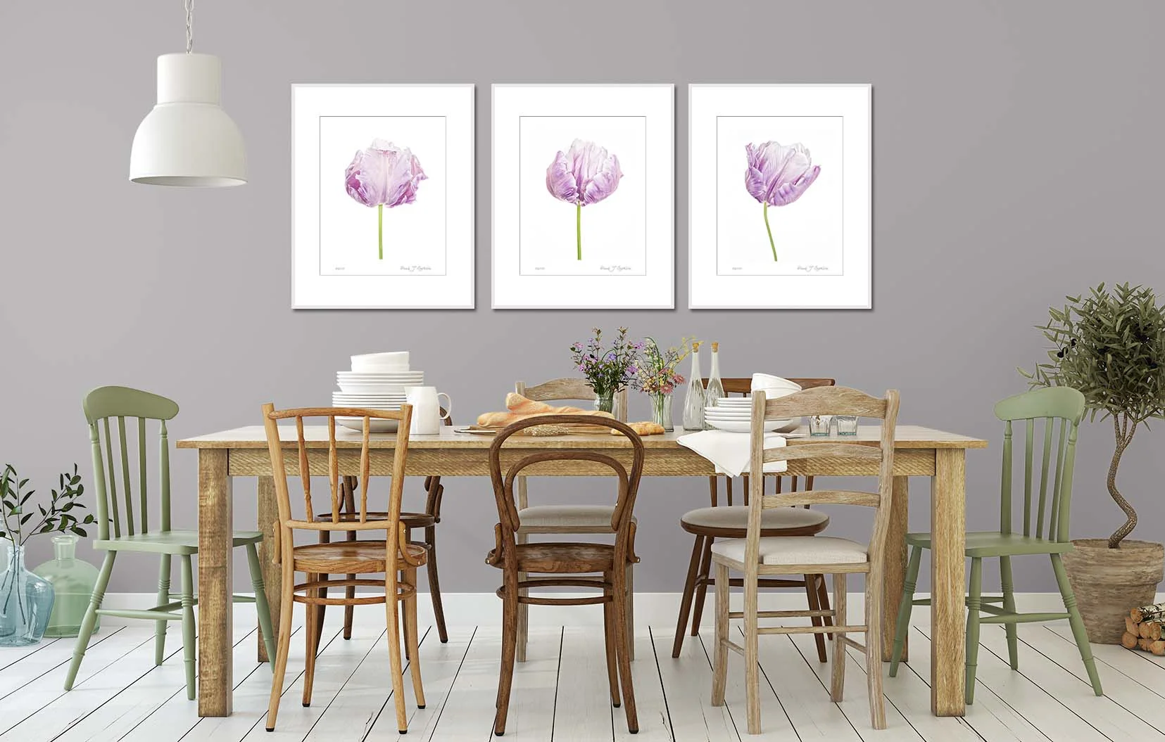 Three blue parrot tulips. Limited edition botanical studies by fine art photographer Paul Coghlin FBIPP.