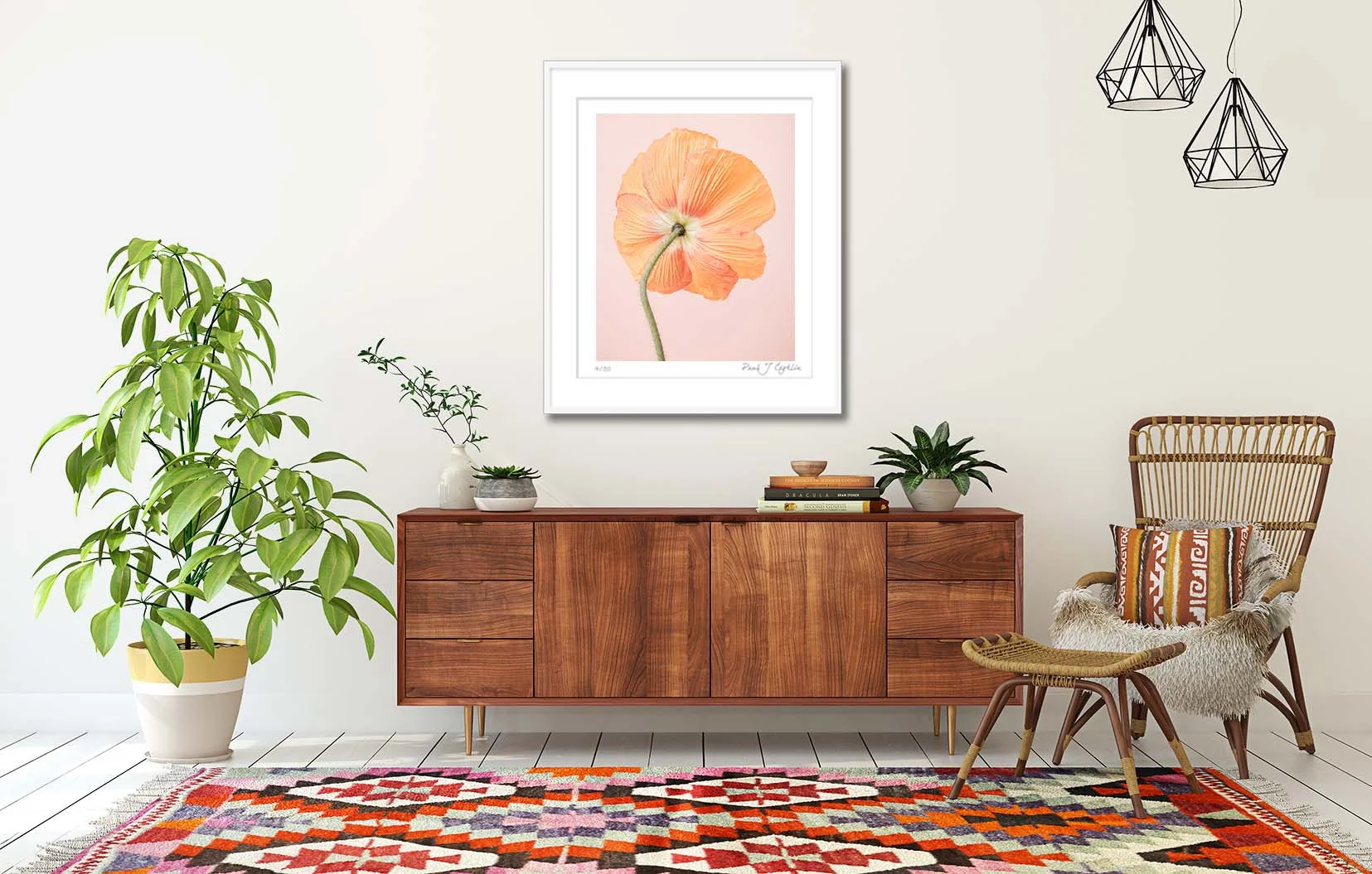 Orange Icelandic Poppy. Limited edition photographic print of an Icelandic Poppy by fine art photographer Paul Coghlin. Orange poppy in a frame on the wall.