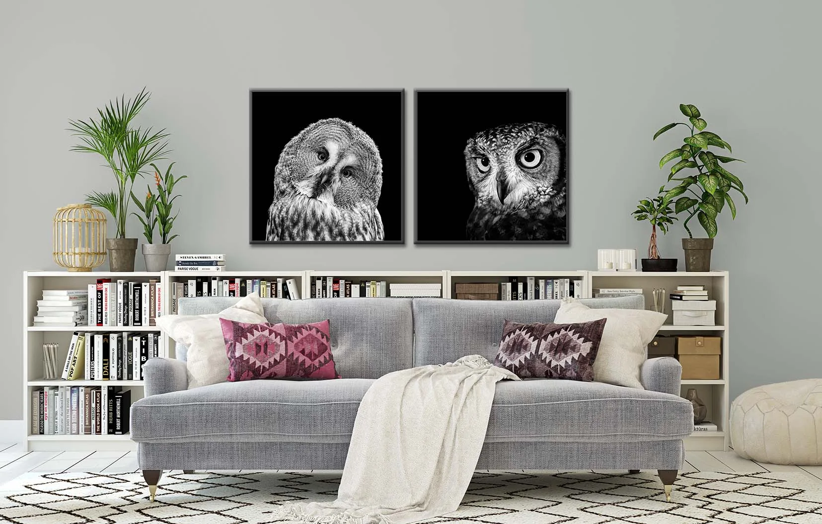 Two black and white photographs of owls. Limited edition owl prints by fine art photographer Paul Coghlin FBIPP.