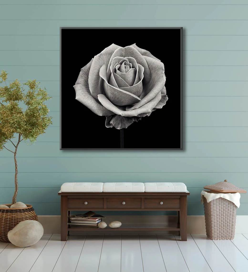 A black and white photographic print of a rose for sale. Fine art floral prints by Paul Coghlin FBIPP