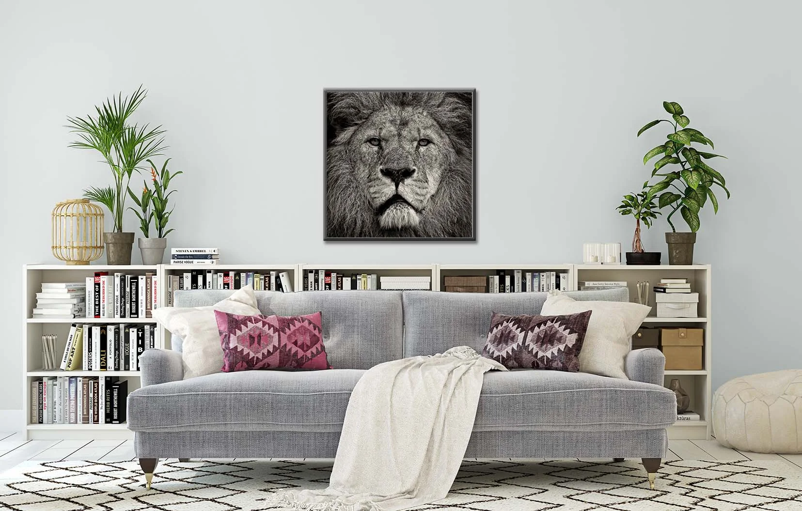 Lion’s Stare - portrait of a lion looking into the camera. Limited edition photographic prints by fine art photographer Paul Coghlin.
