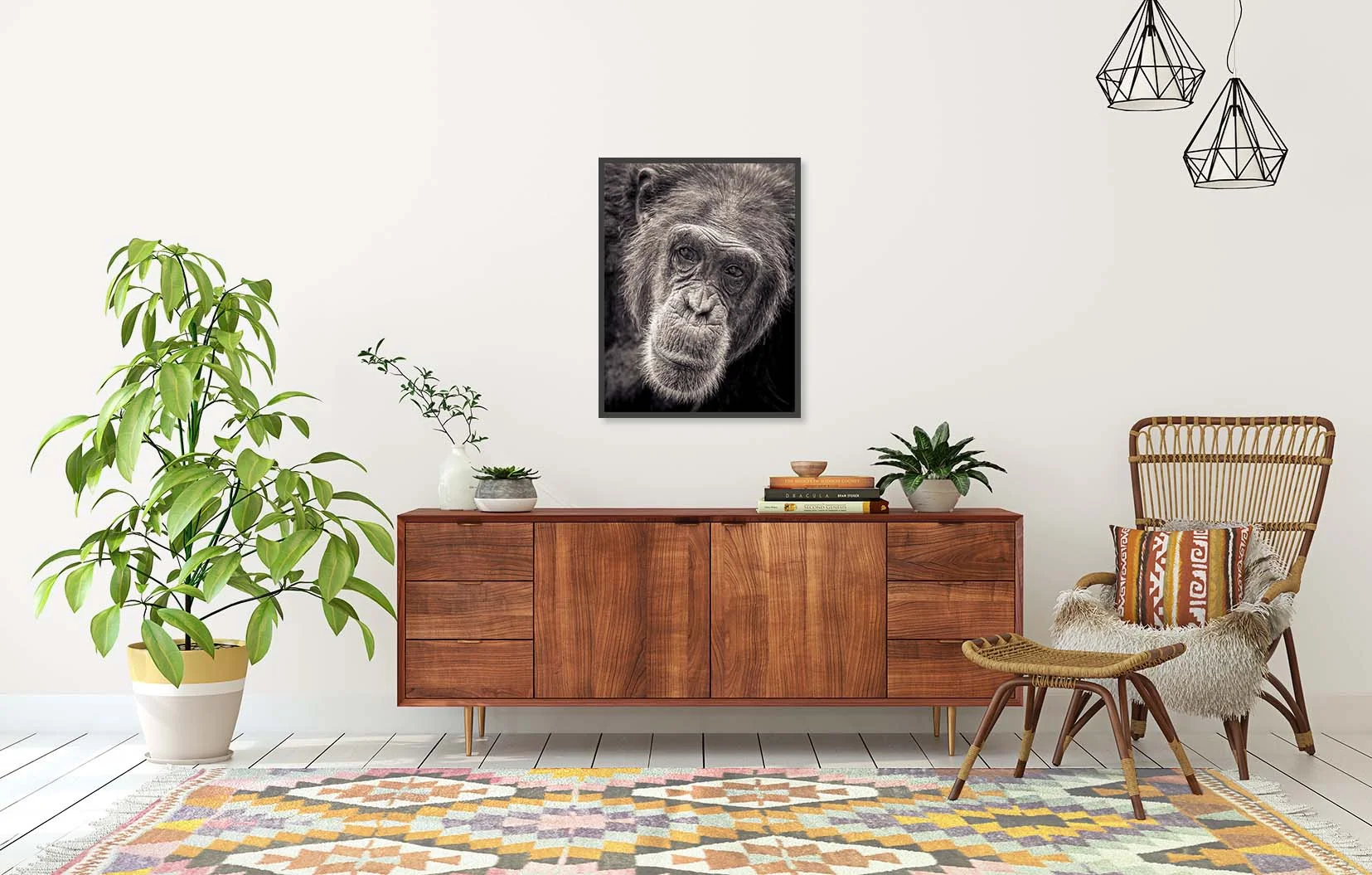 Wondering. Portrait of a chimp by fine art photographer Paul Coghlin. Limited edition black and white print of a chimp and other animals.
