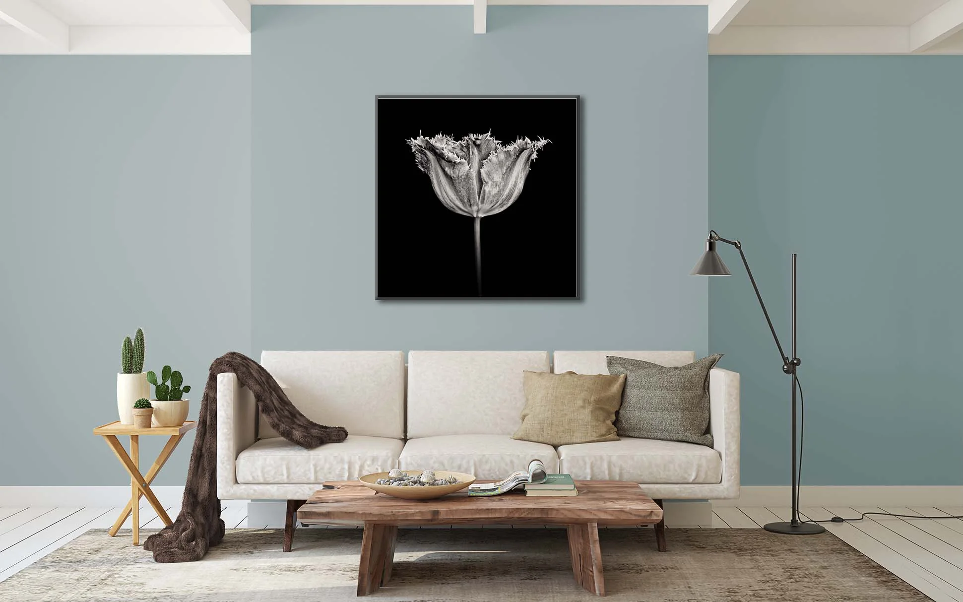 A black and white limited edition print of a tulip “fancy frills” by fine art photographer Paul Coghlin