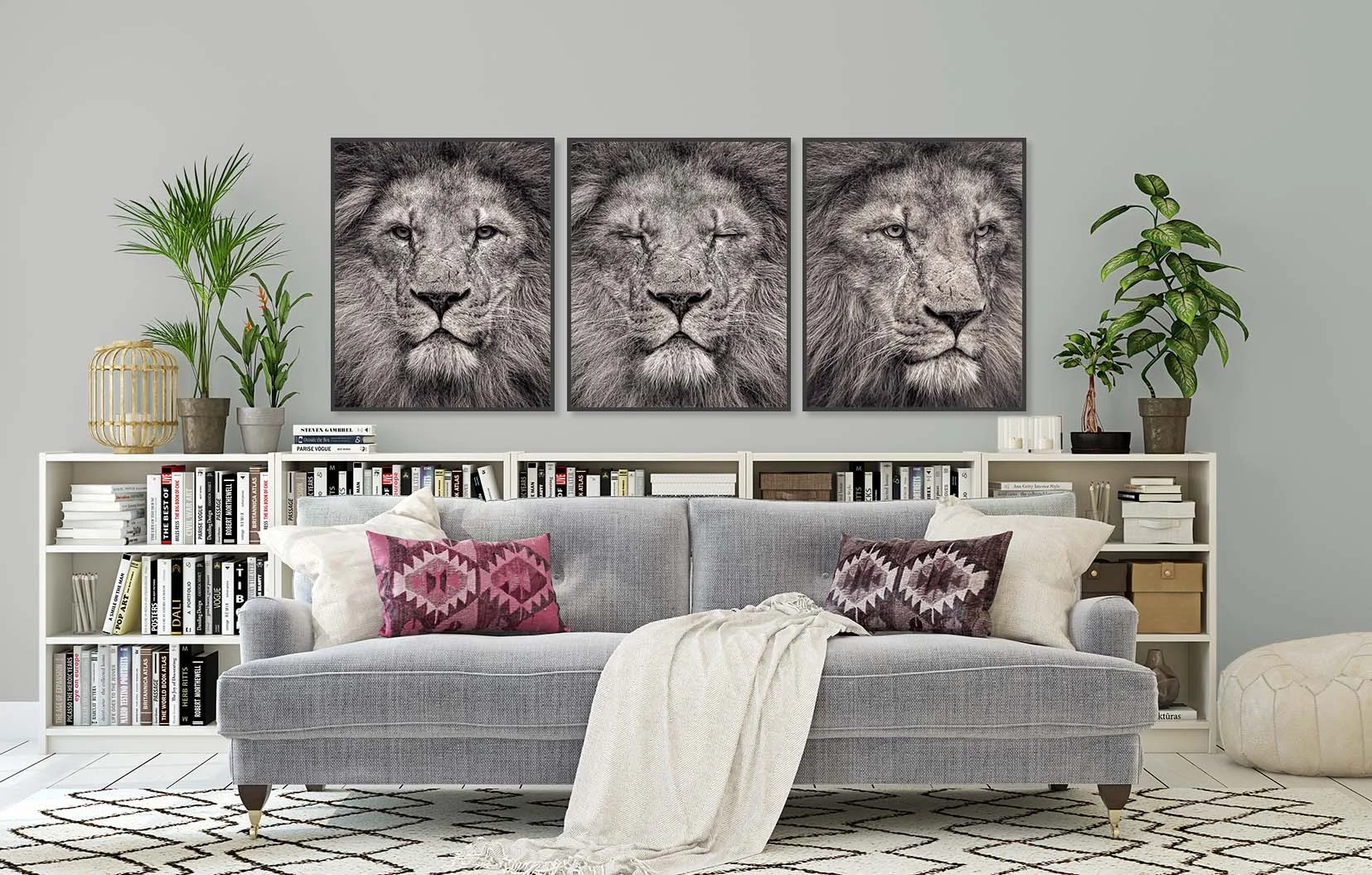 Three black and white portraits of a lion. Limited edition fine art prints by award-winning photographer Paul Coghlin.