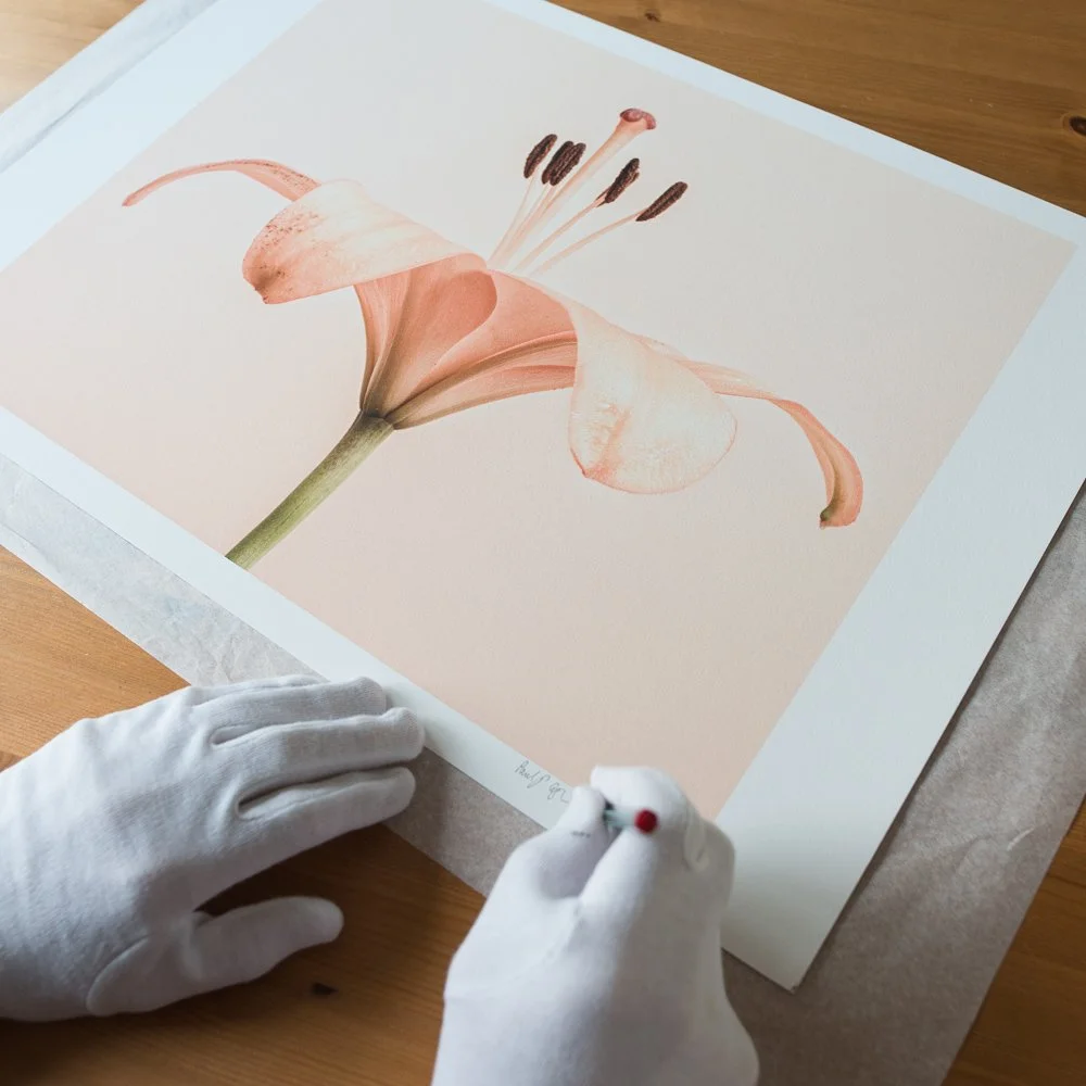 Paul Coghlin — Limited Edition, Fine Art Photography Prints