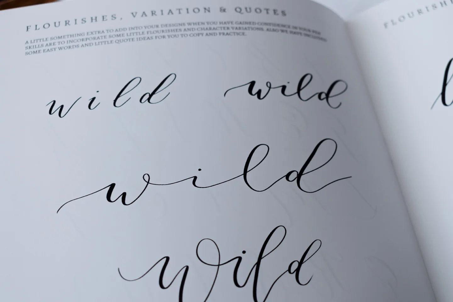 WildSeaCalligraphy72_04.jpg