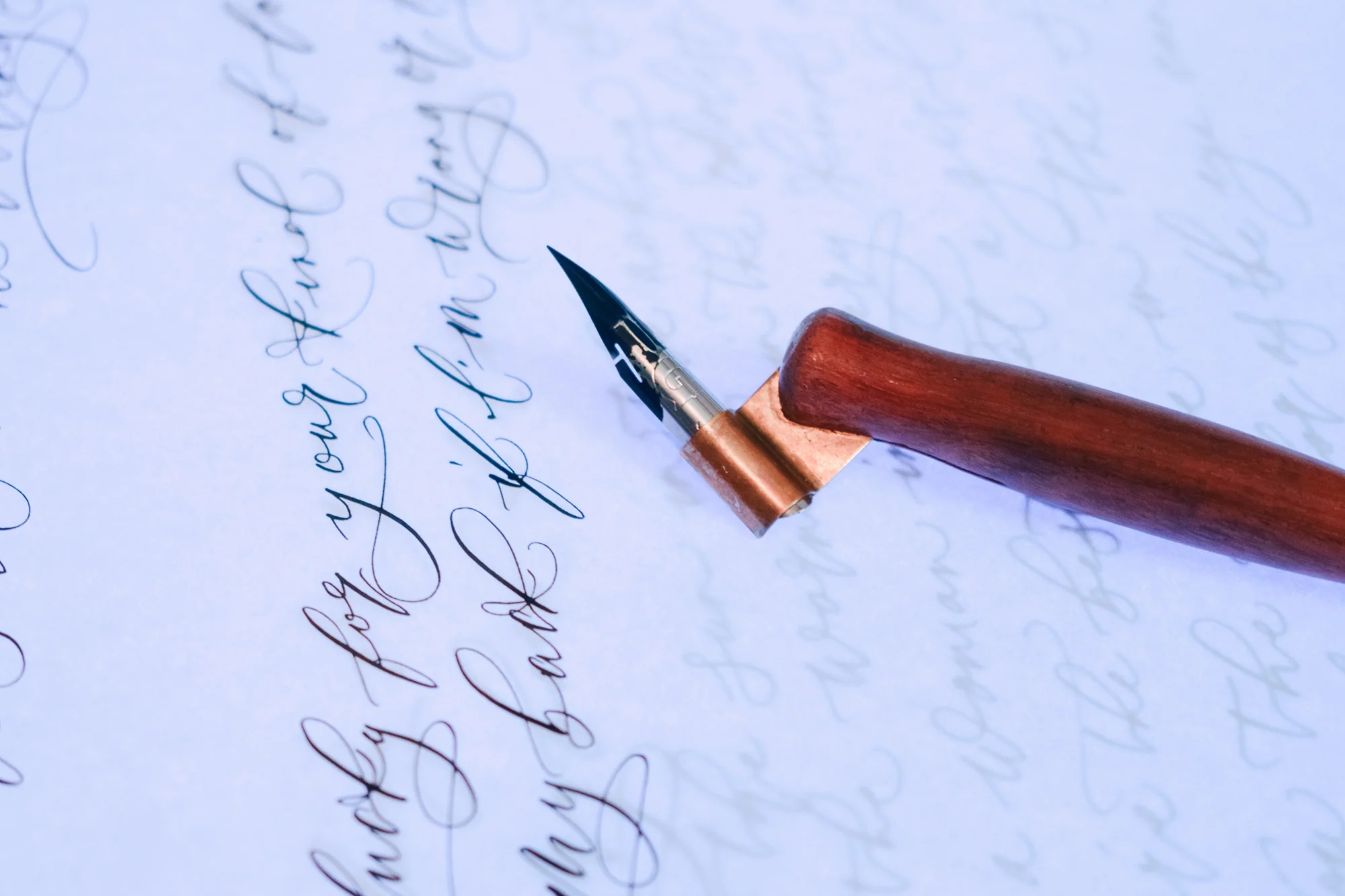 WildSea-Modern-Calligraphy.jpg