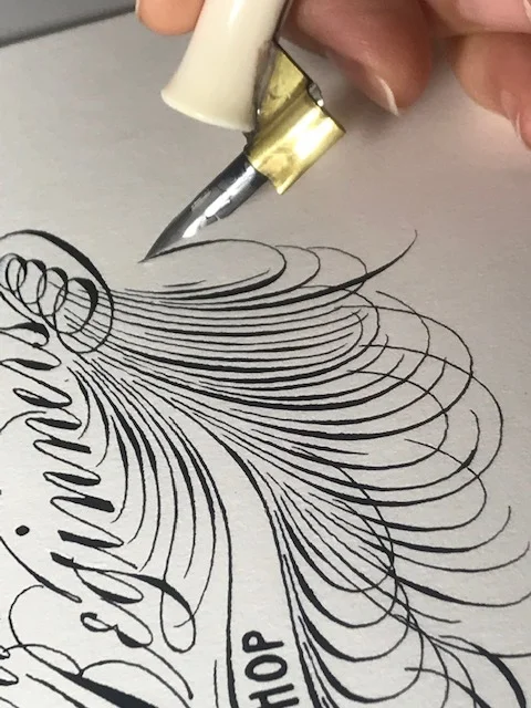 beginners-spencerian-workshop-3.jpeg