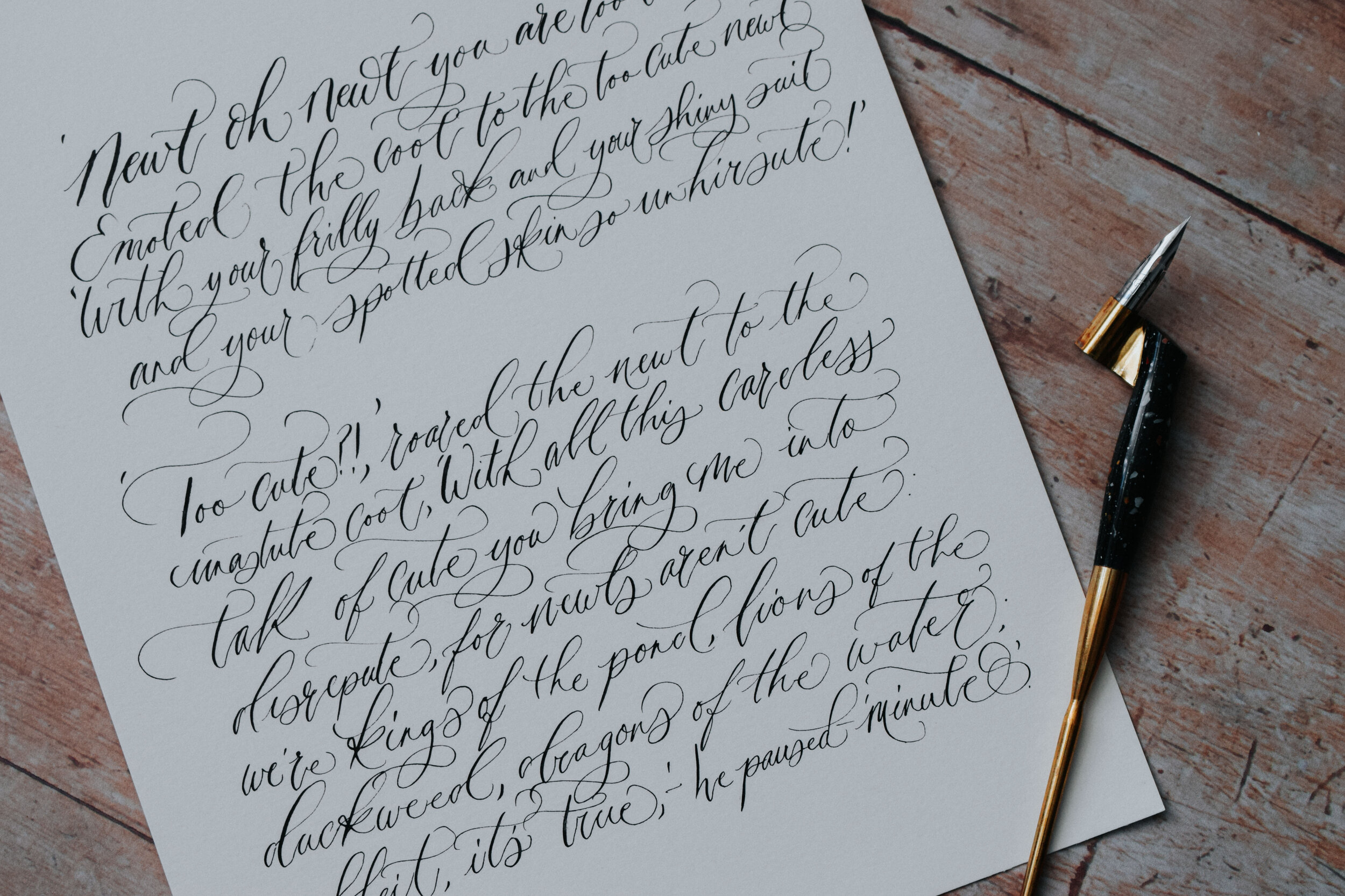Improvers Modern Calligraphy Online Tuition With Me Wild Sea Calligraphy Modern Calligraphy Workshops In Devon And Cornwall