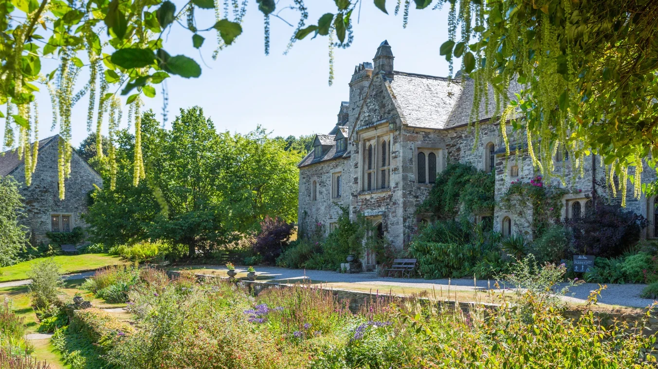 calligraphy_cotehele_national_trust.webp