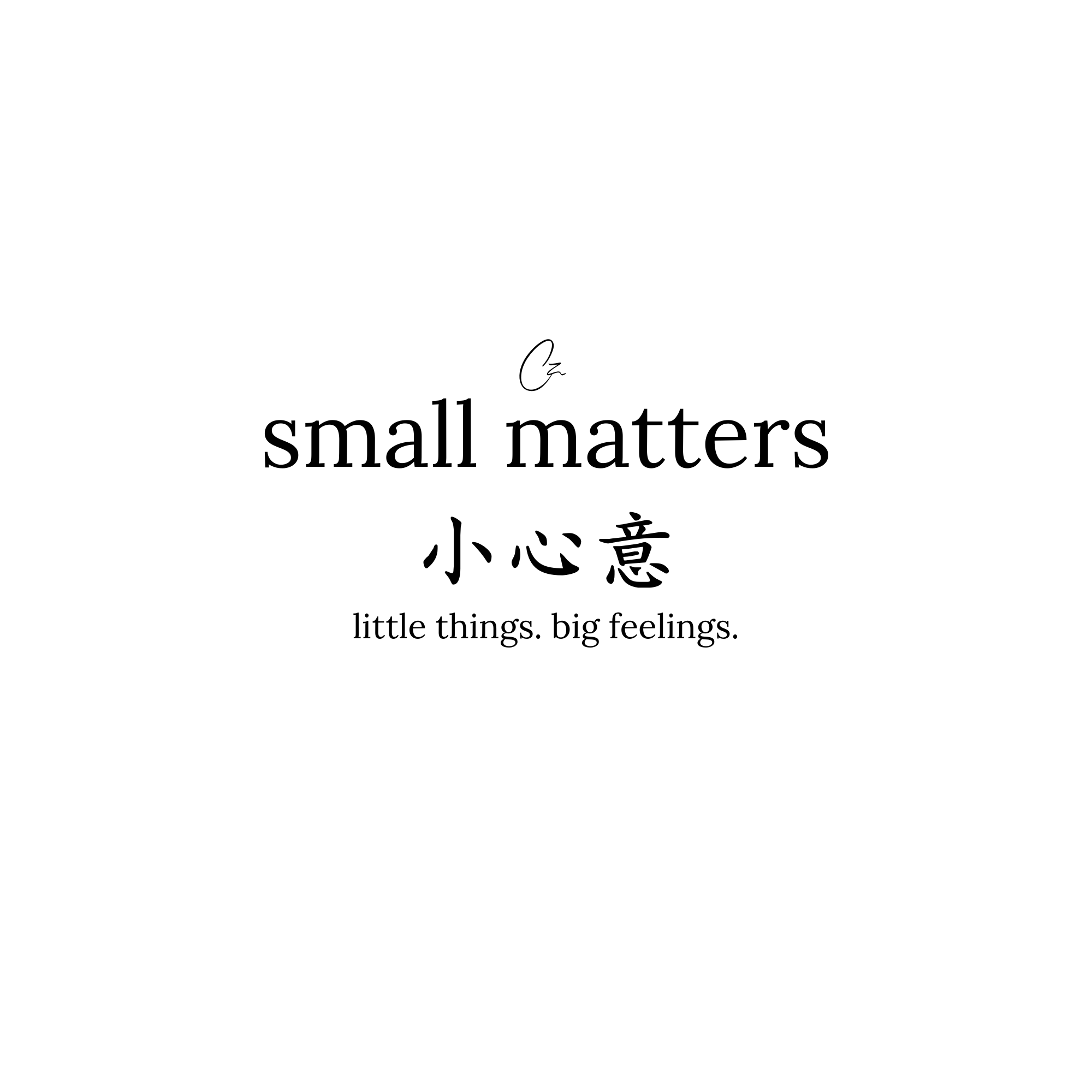 small matters logo (1).png