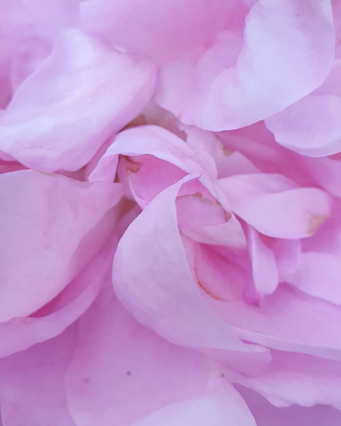 'Elaborate rituals and garish images

May be useful in meditation when your mind is whirling with thoughts 

Of sex, money and power, wandering like an elephant in heat 

Go ahead and use these tools, yet know,

Beating drums and blaring trumpets 

C