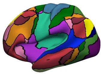 colorful brain copy.jpg