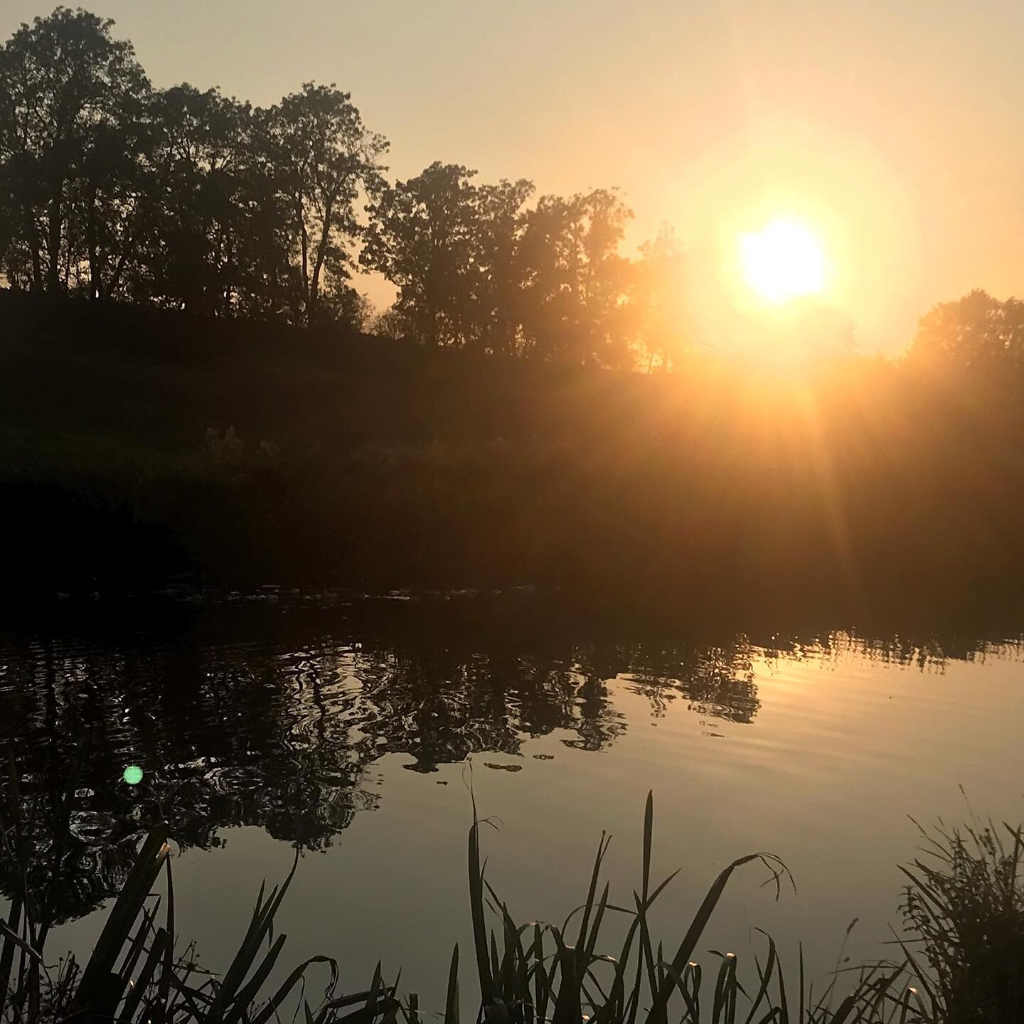 The days are drawing in but they allow for beautiful walks along the river in the evenings! 🌅 

Perfect time of the year to let your hormones naturally rebalance in the evenings ⚖️. Dim light🕯will help your cortisol levels subside and your melatoni