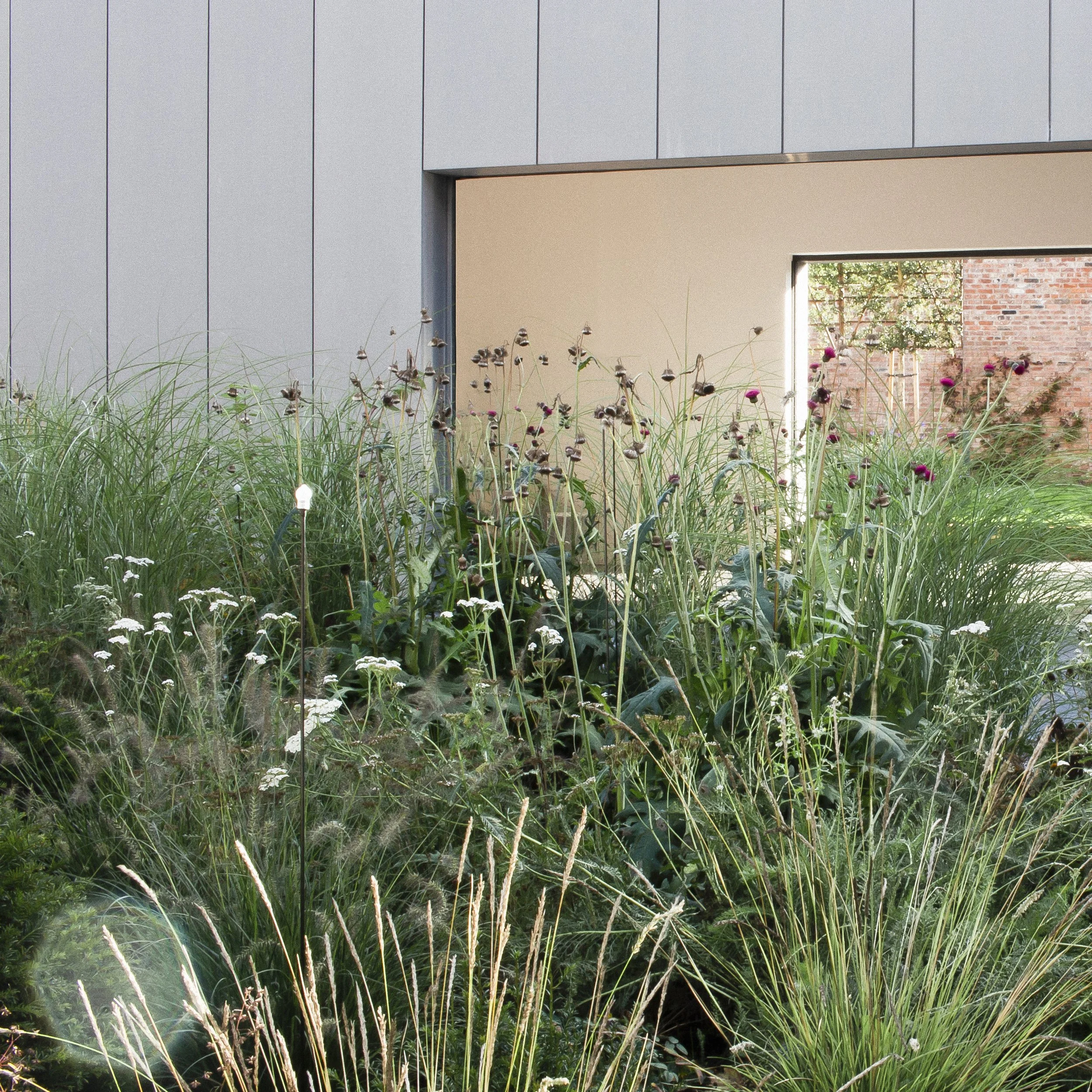 Zoe Polya-Vitry_000_001.jpg