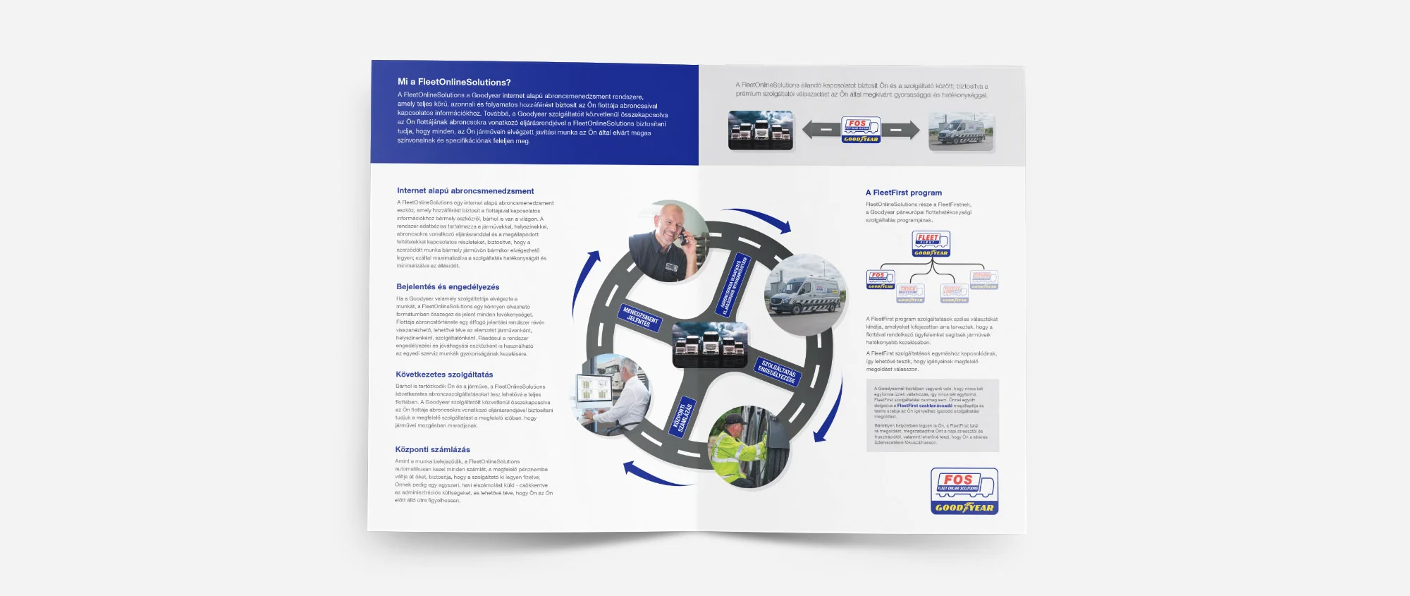 Goodyear-Pillar-Brochure-ALL--Mock-up 3.jpg