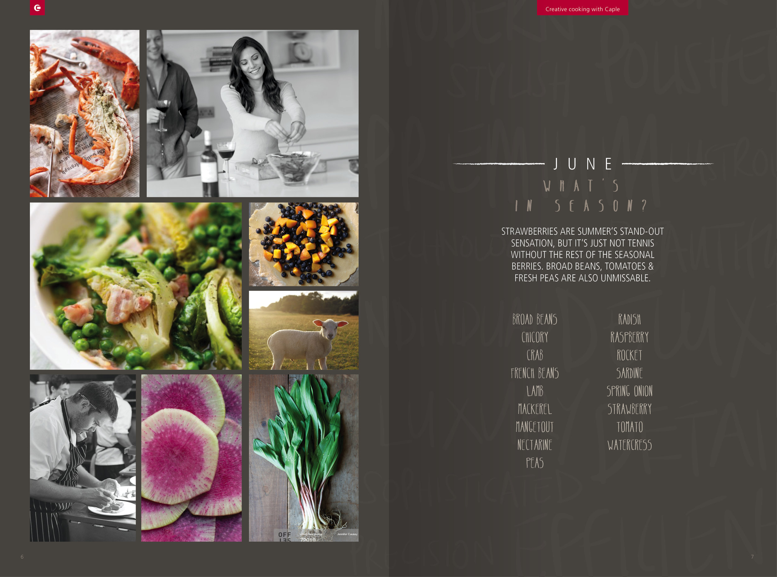 cook book visual4.jpg