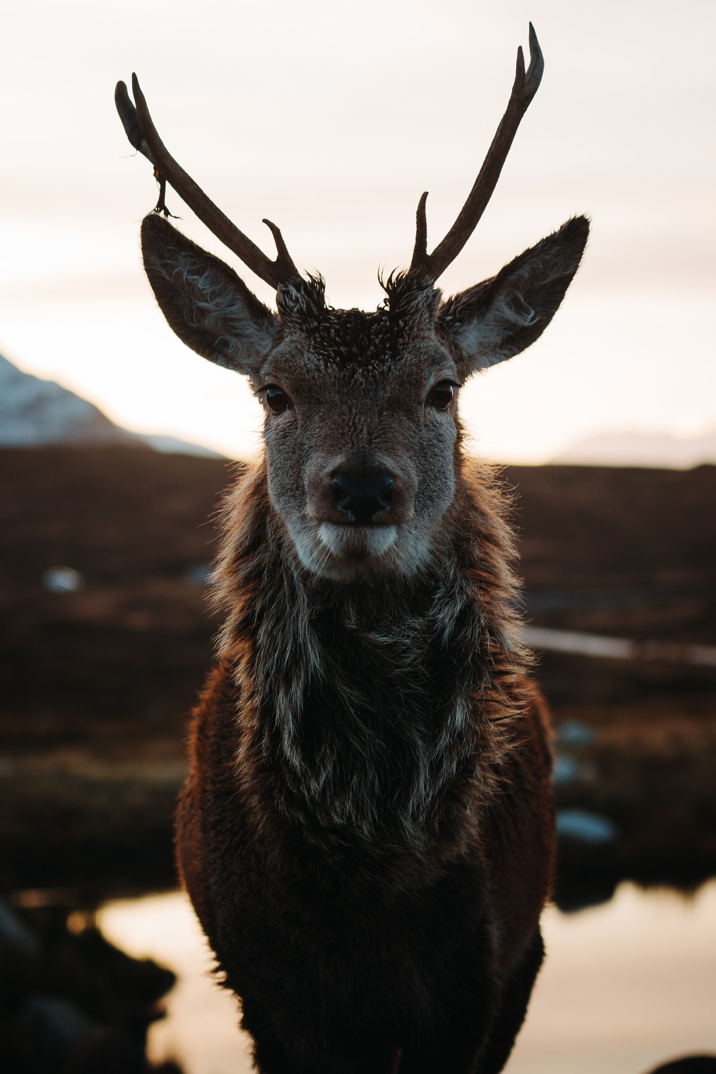 Scotland Tour to the West Coast - Distinct Scotland Tours