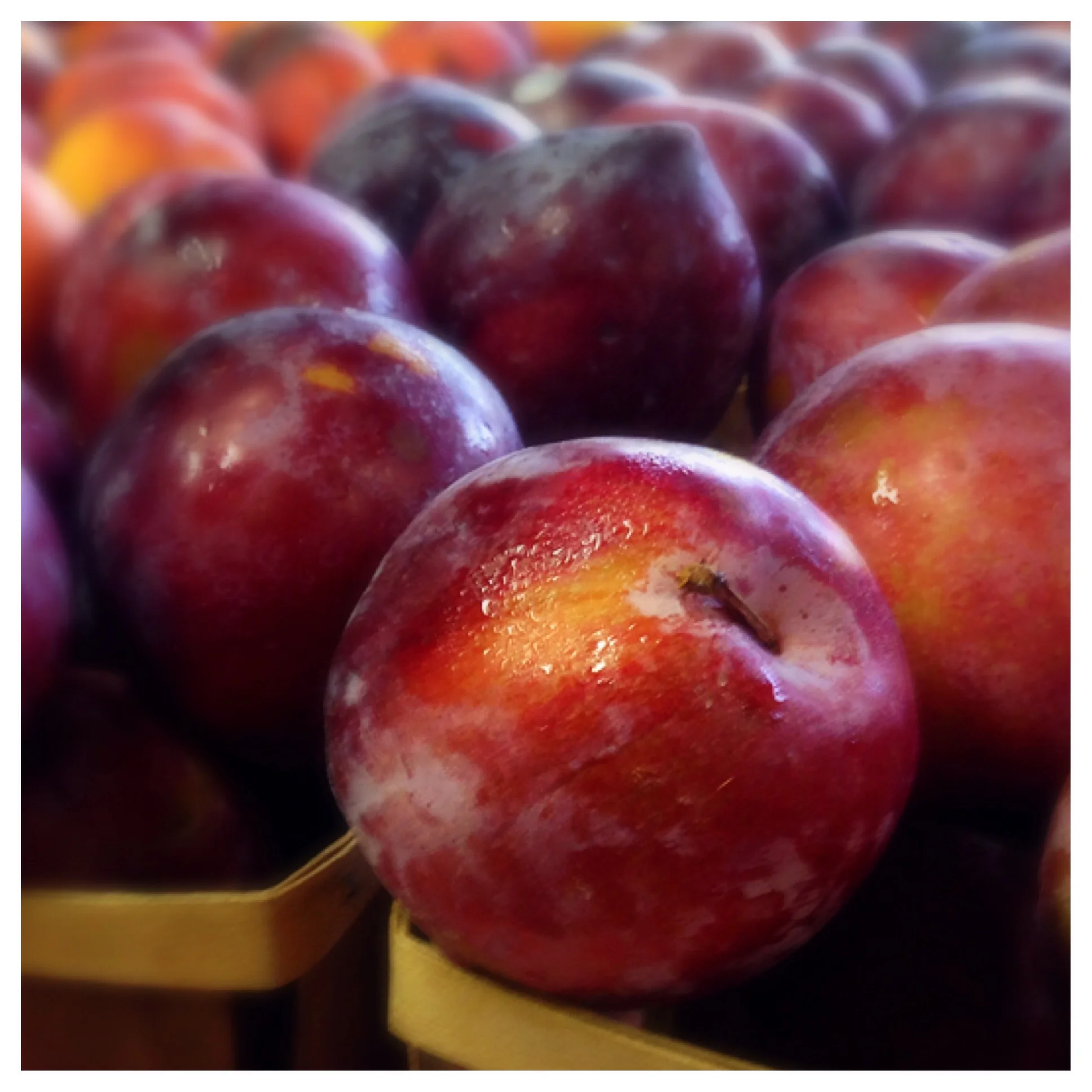 Jello Legs &amp; Strategizing Pre-Event Snacks: Something I Learned the Hard Way