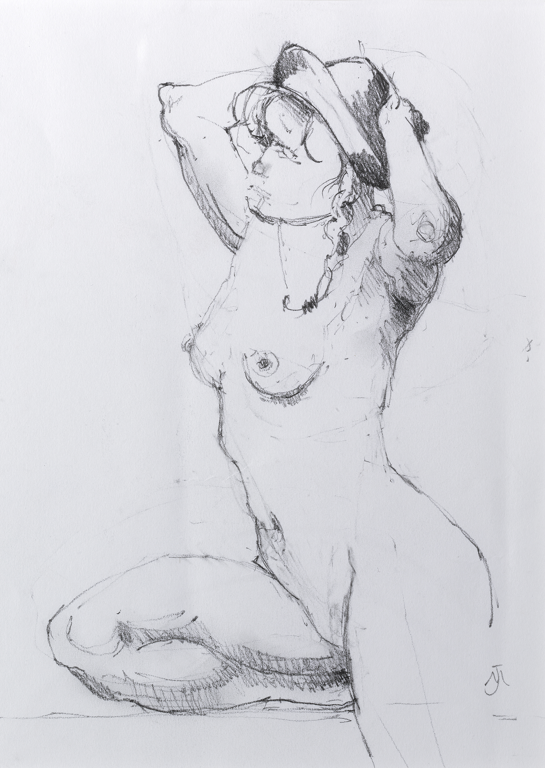 The Model