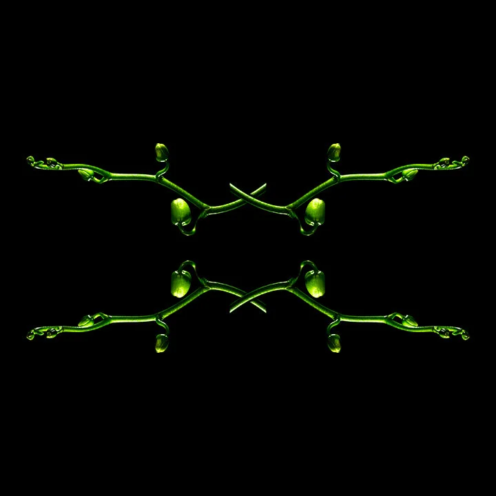 CALEIDOSCÓPIO | KALEIDOSCOPE #10