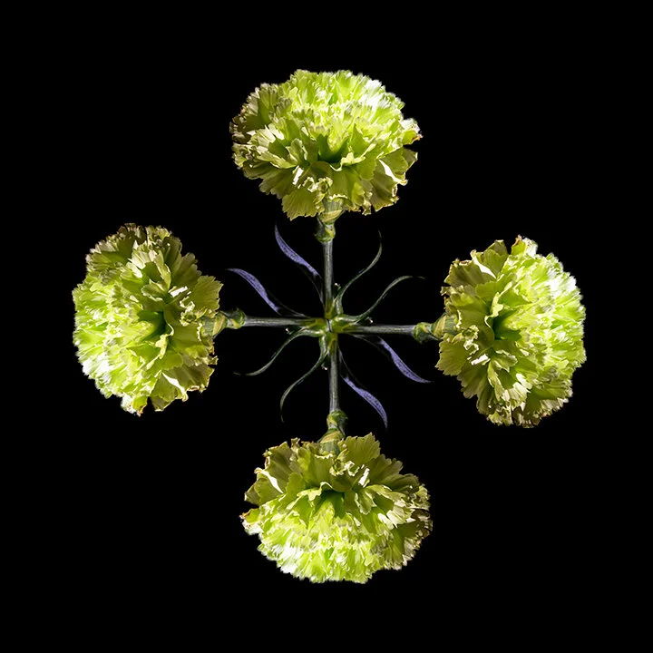CALEIDOSCÓPIO | KALEIDOSCOPE #04