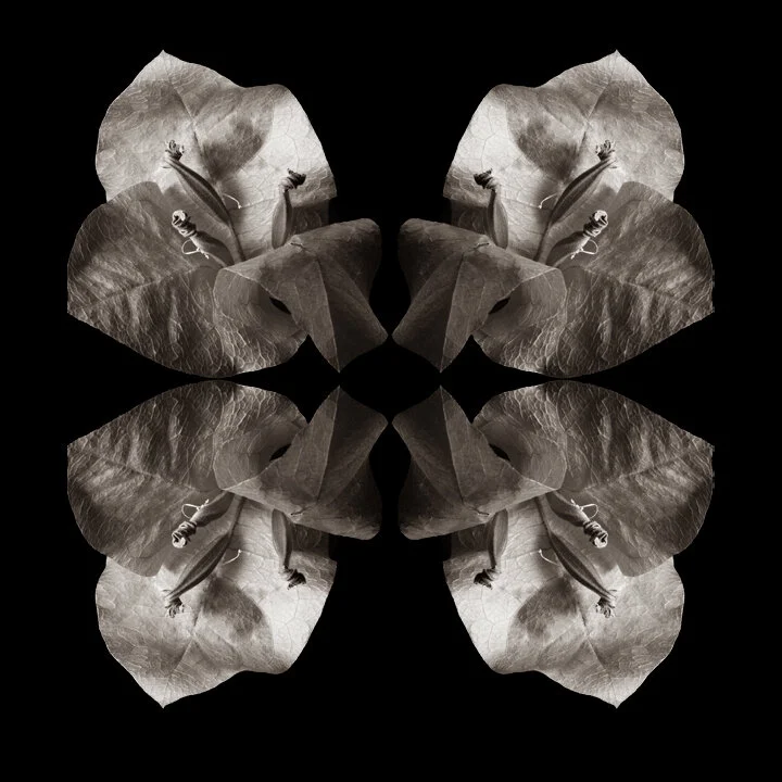 CALEIDOSCÓPIO | KALEIDOSCOPE #08