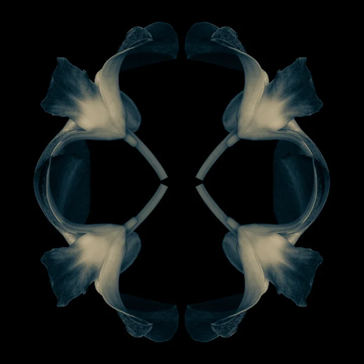 CALEIDOSCÓPIO | KALEIDOSCOPE #03