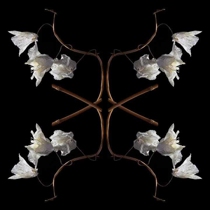 CALEIDOSCÓPIO | KALEIDOSCOPE #05