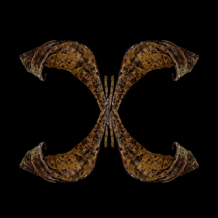 CALEIDOSCÓPIO | KALEIDOSCOPE #06