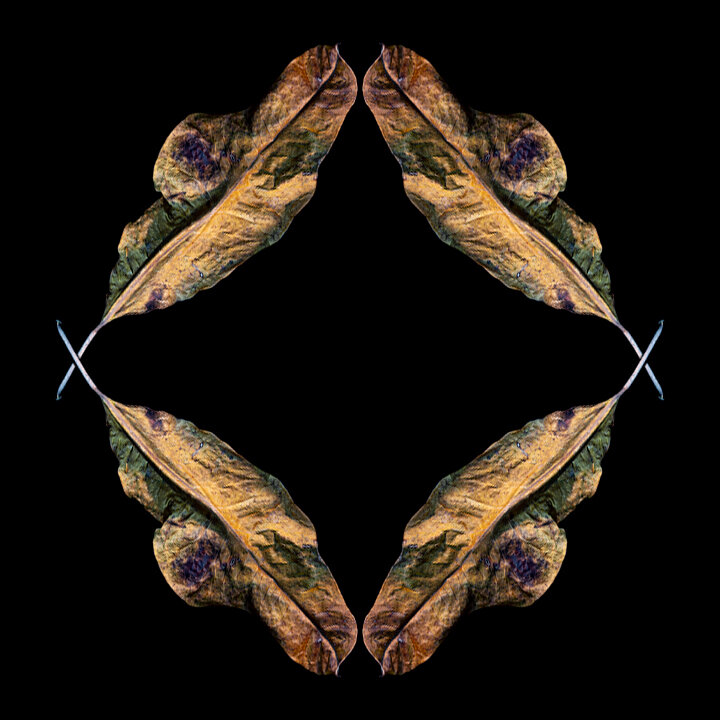 CALEIDOSCÓPIO | KALEIDOSCOPE #02