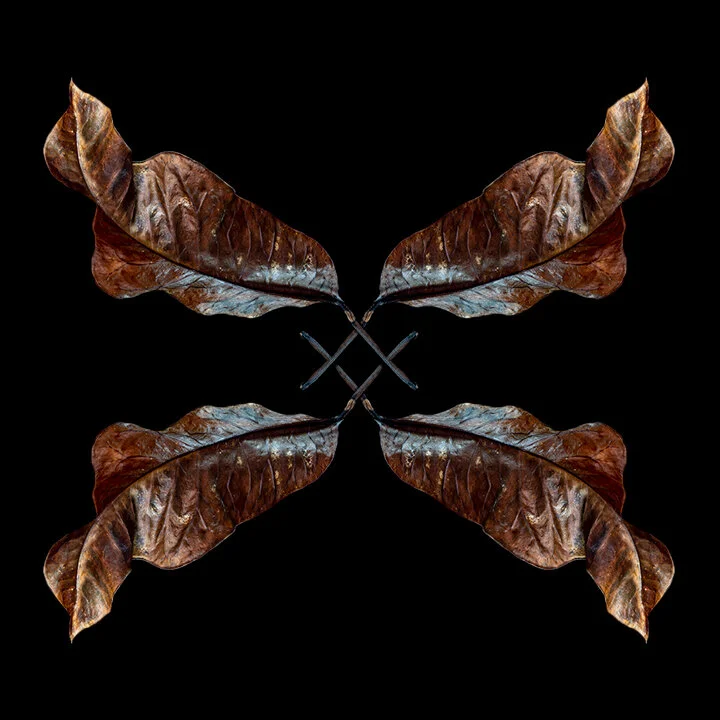 CALEIDOSCÓPIO | KALEIDOSCOPE #09
