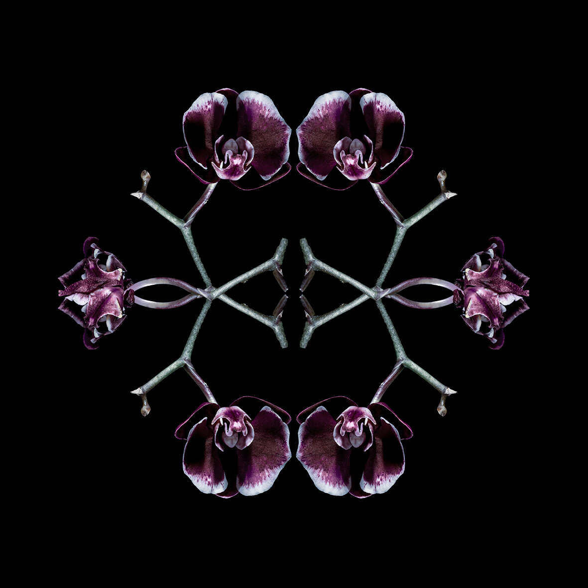 CALEIDOSCÓPIO | KALEIDOSCOPE #07
