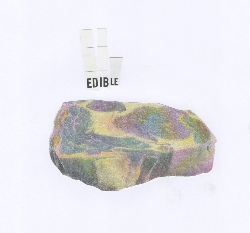 edible meat 10” x 8.5” 2017