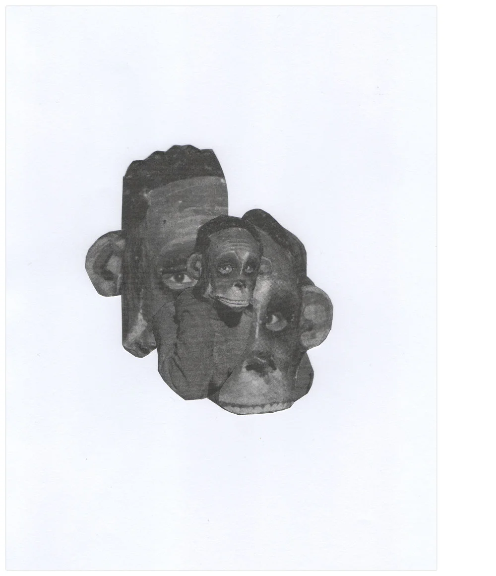 monkey-collage.jpg