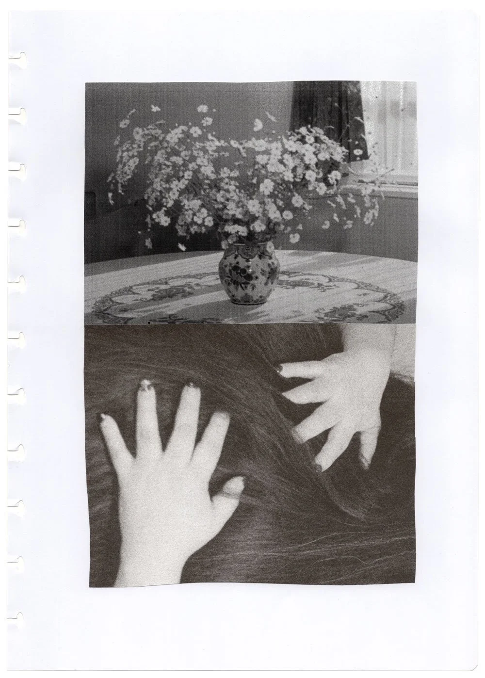 Collage diptych