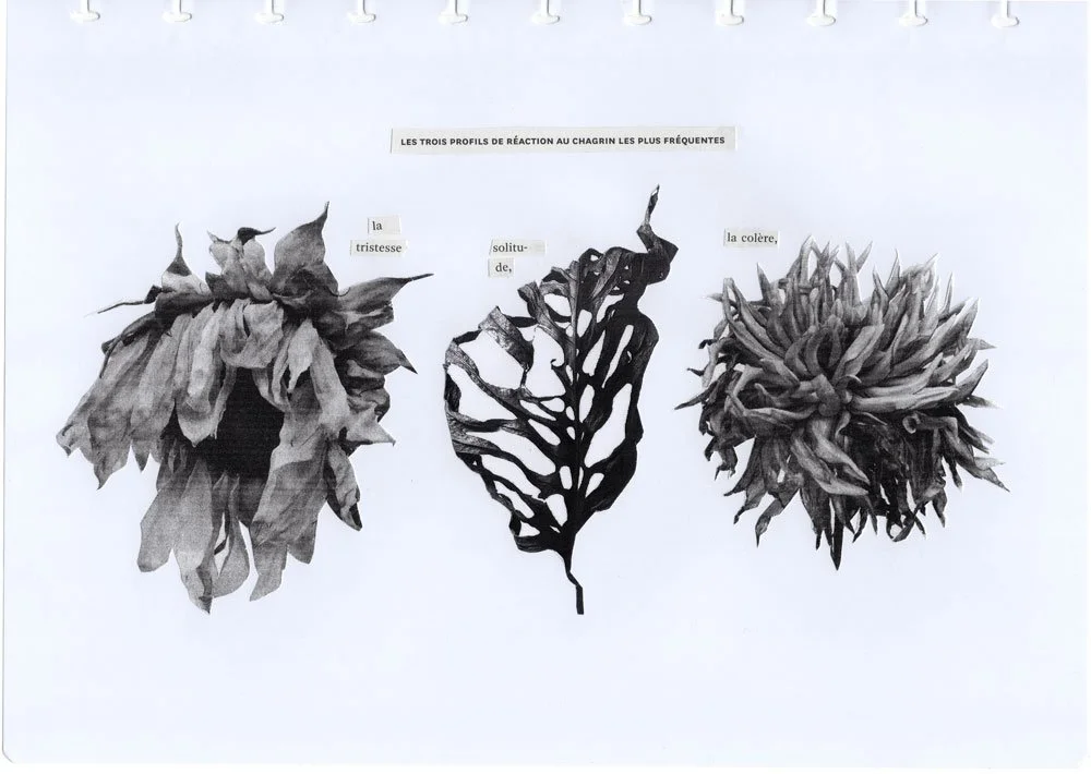 Le graphique du chagrin