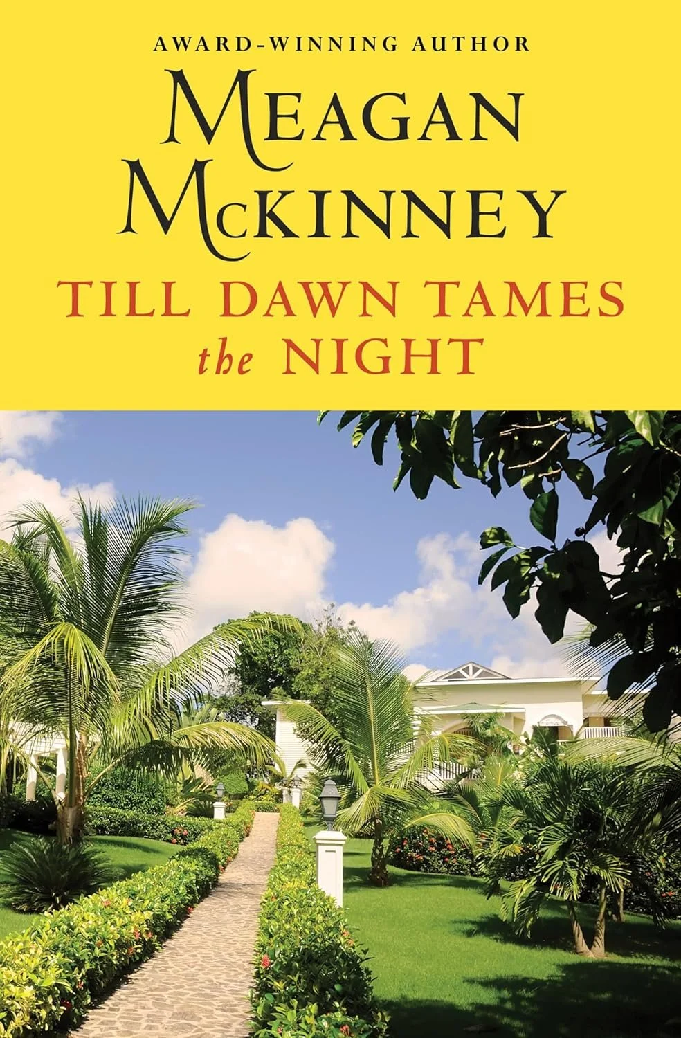 Till Dawn Tames the Night by Meagan McKinney