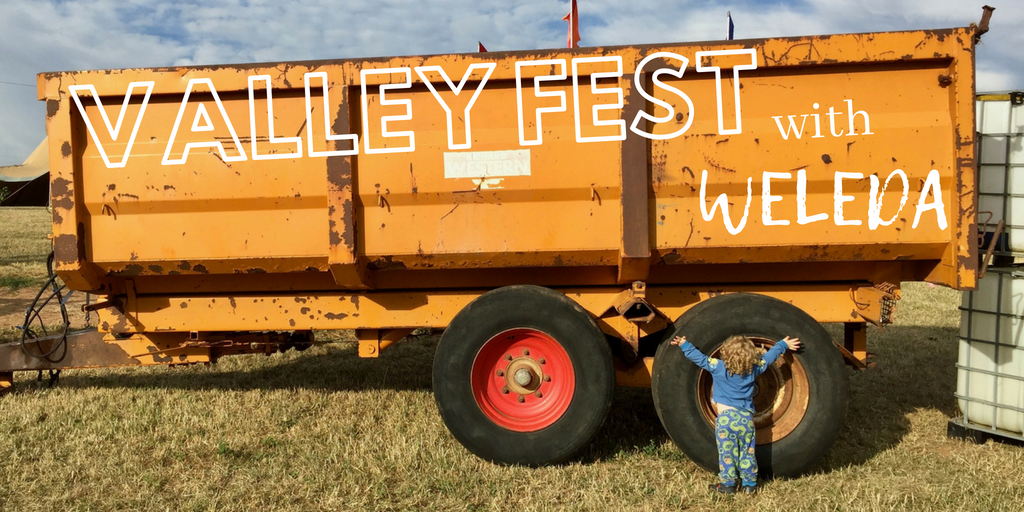VALLEY FEST (1).png