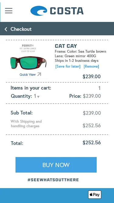 Costa_checkout.jpg