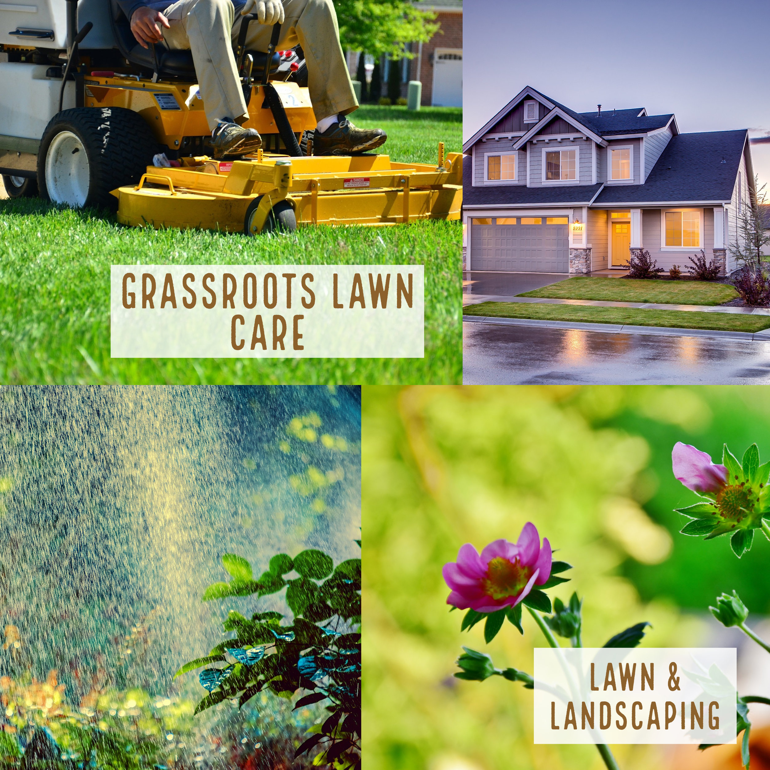 Grassroots Moodboard