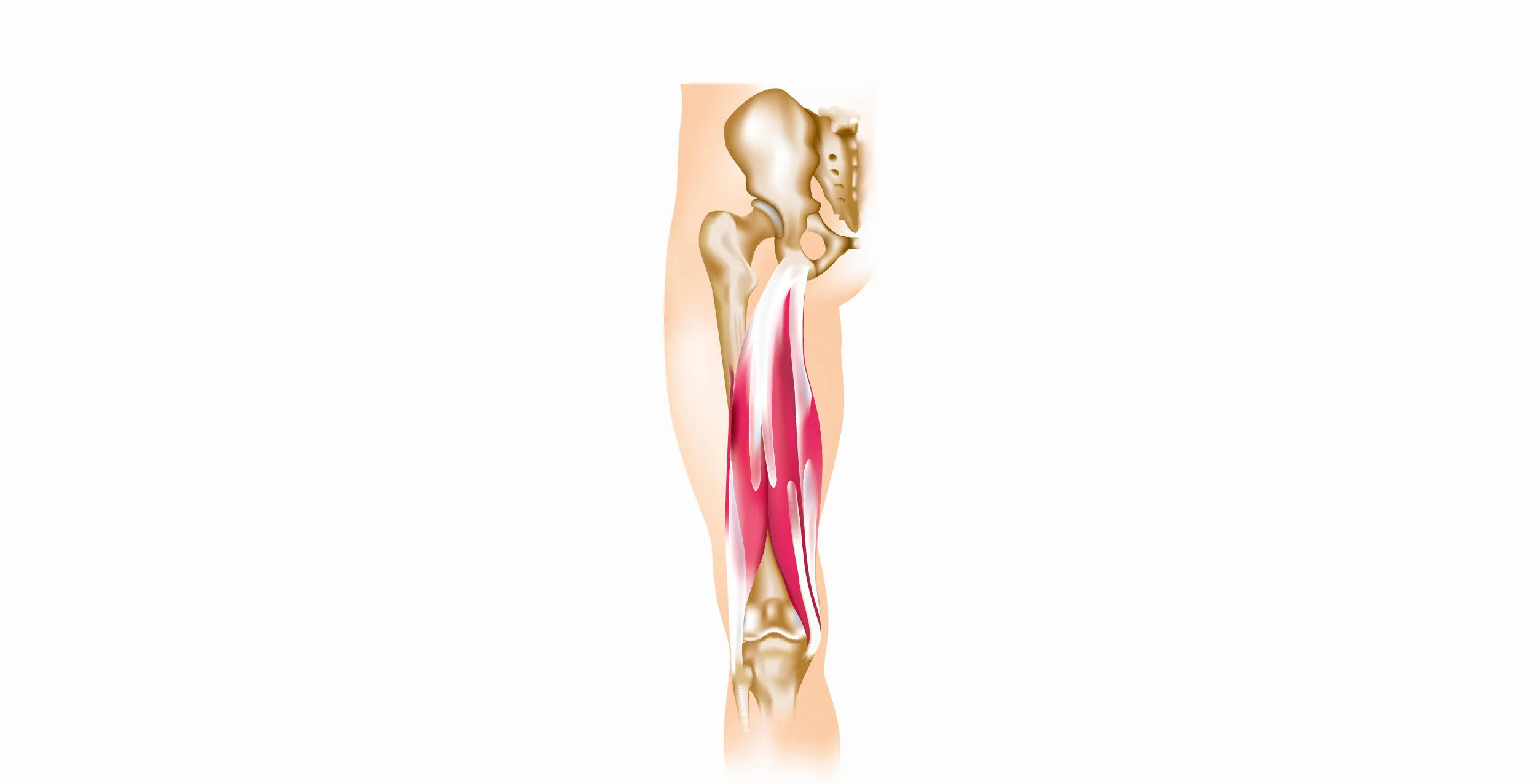 British Athletics Muscle Injury Classification: a new grading system