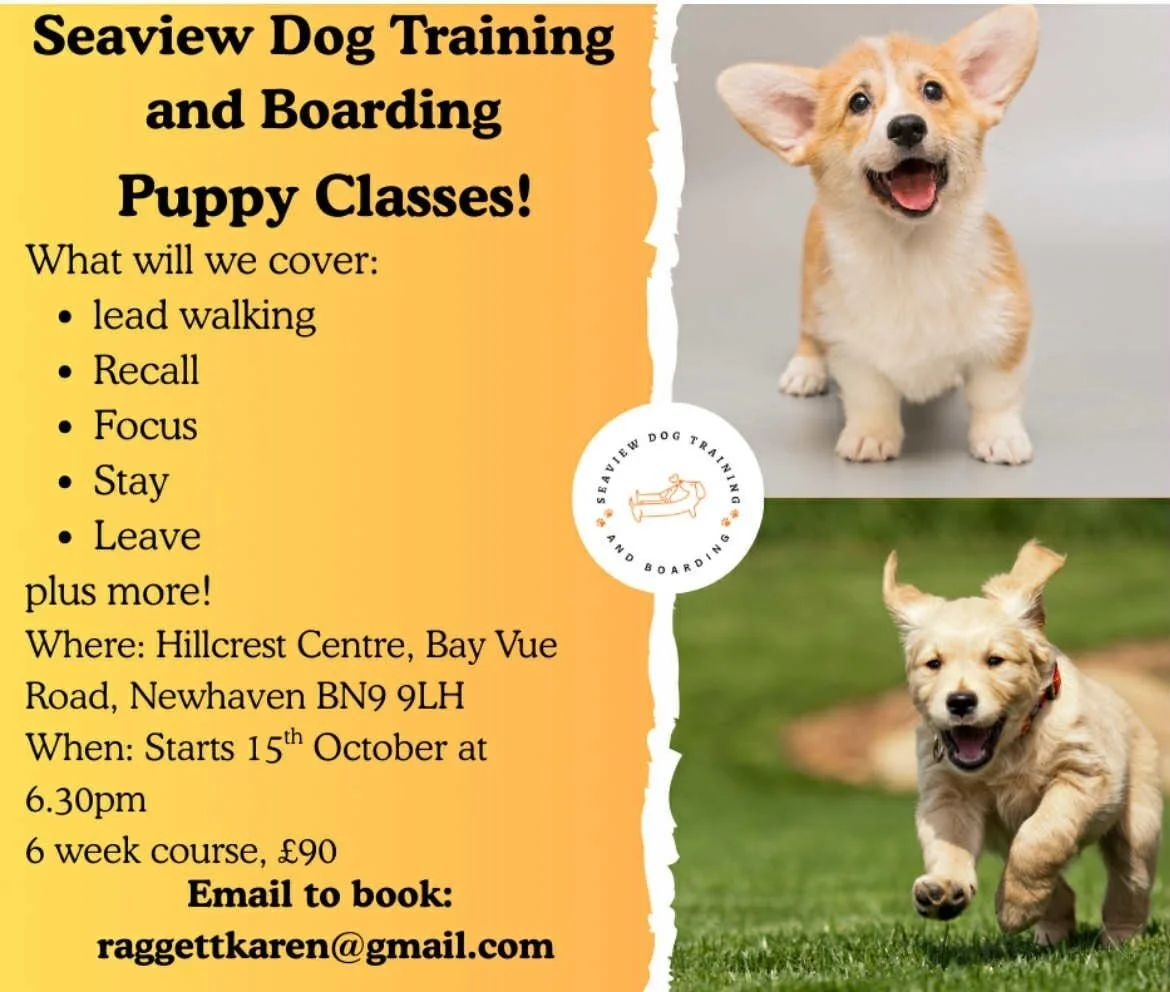🐶🐕 Join Seaview Dog Training &amp; Boarding for fun Puppy Classes! ✨️

Over the course of 6 weeks, your furry friend will learn all sorts of skills, including lead walking, recall, focus, stay, and leave&mdash;plus many more exciting things! The co