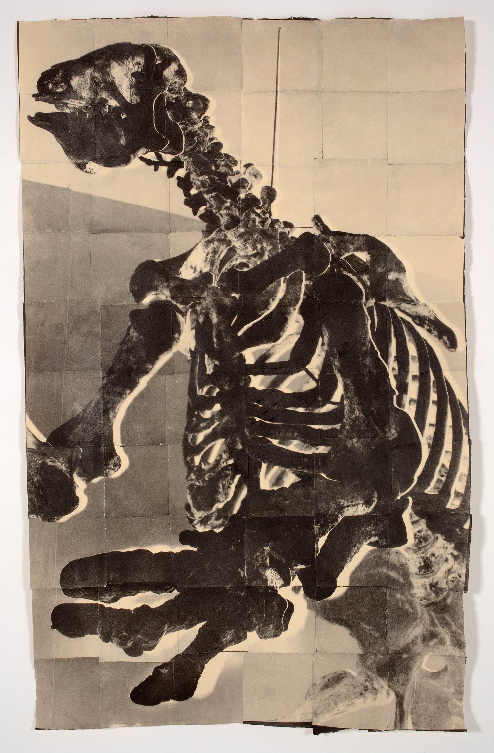 Present, Near, and Deep (Giant Sloth)
