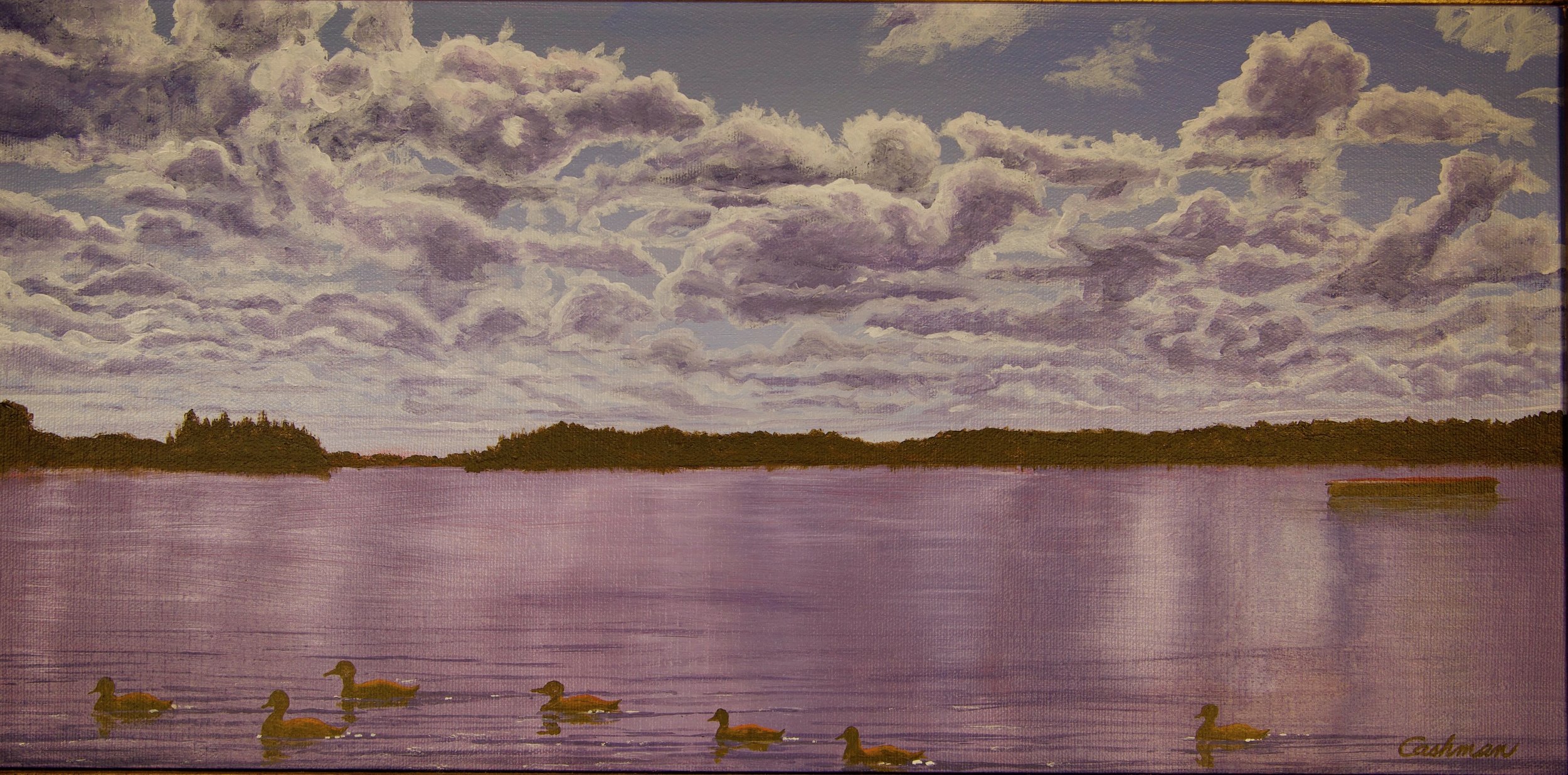 Ducks in the Flowage