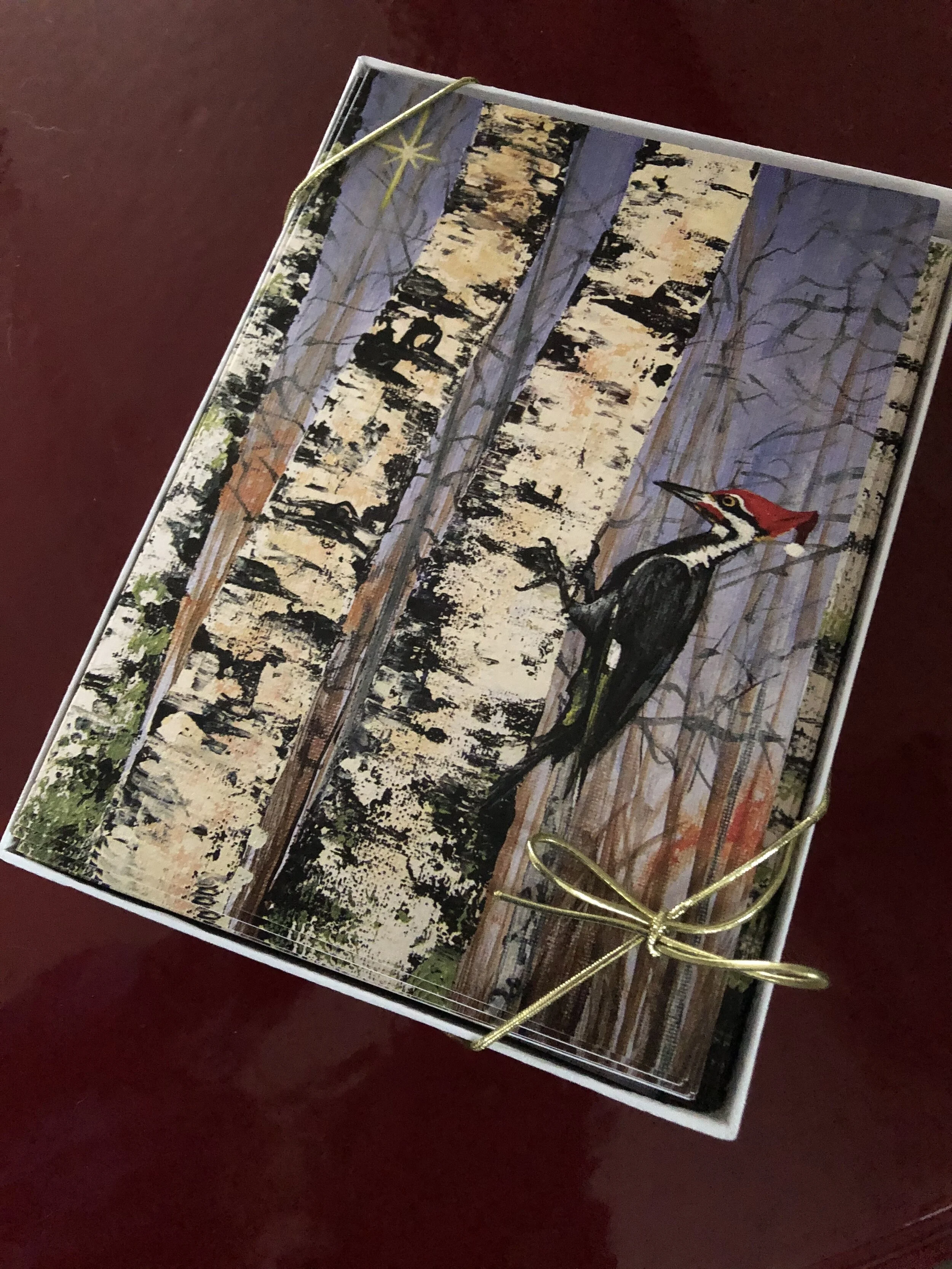 Xmas woodpecker in box.JPG