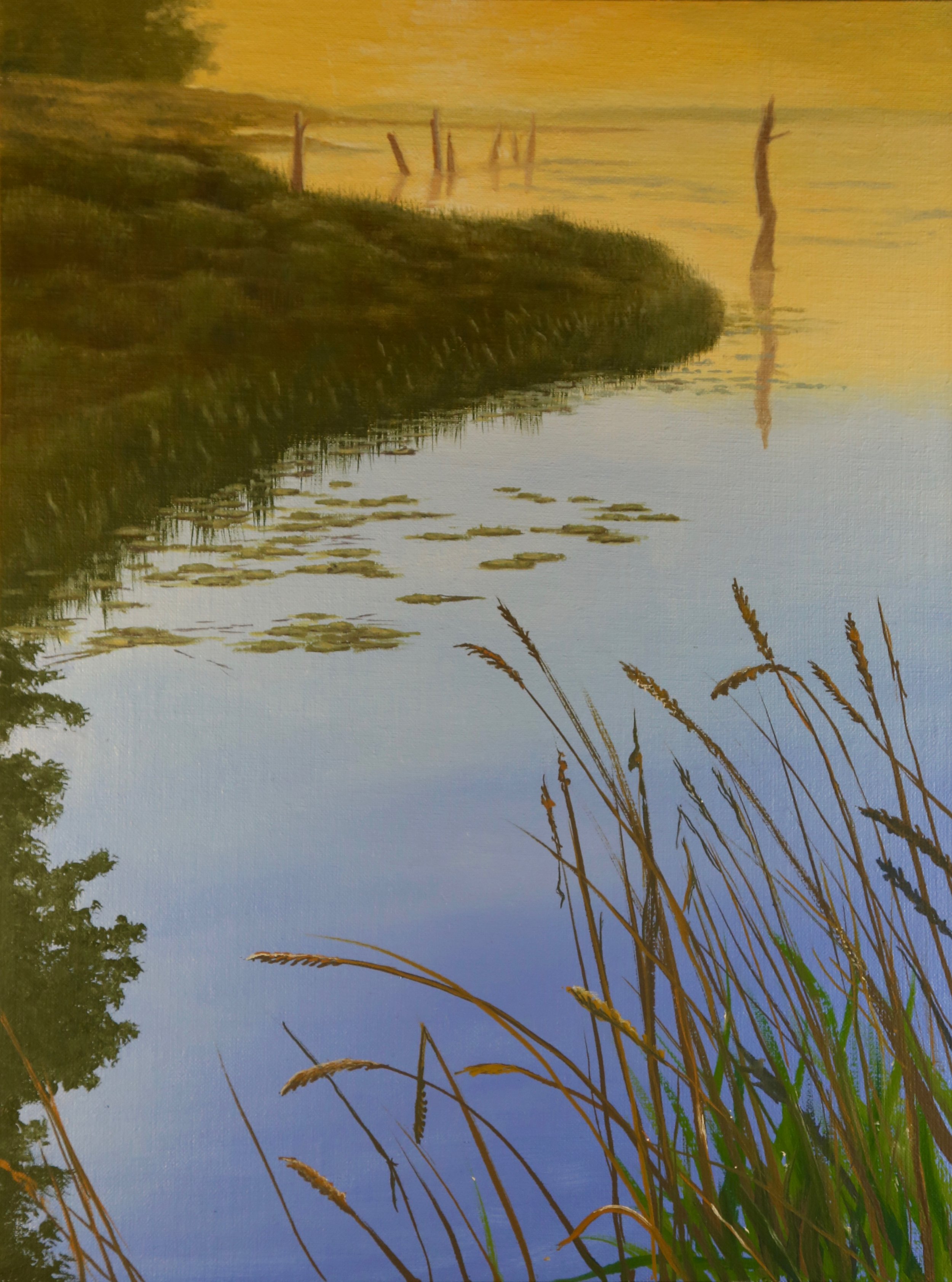 Powell Marsh "Wetland Sunrise"
