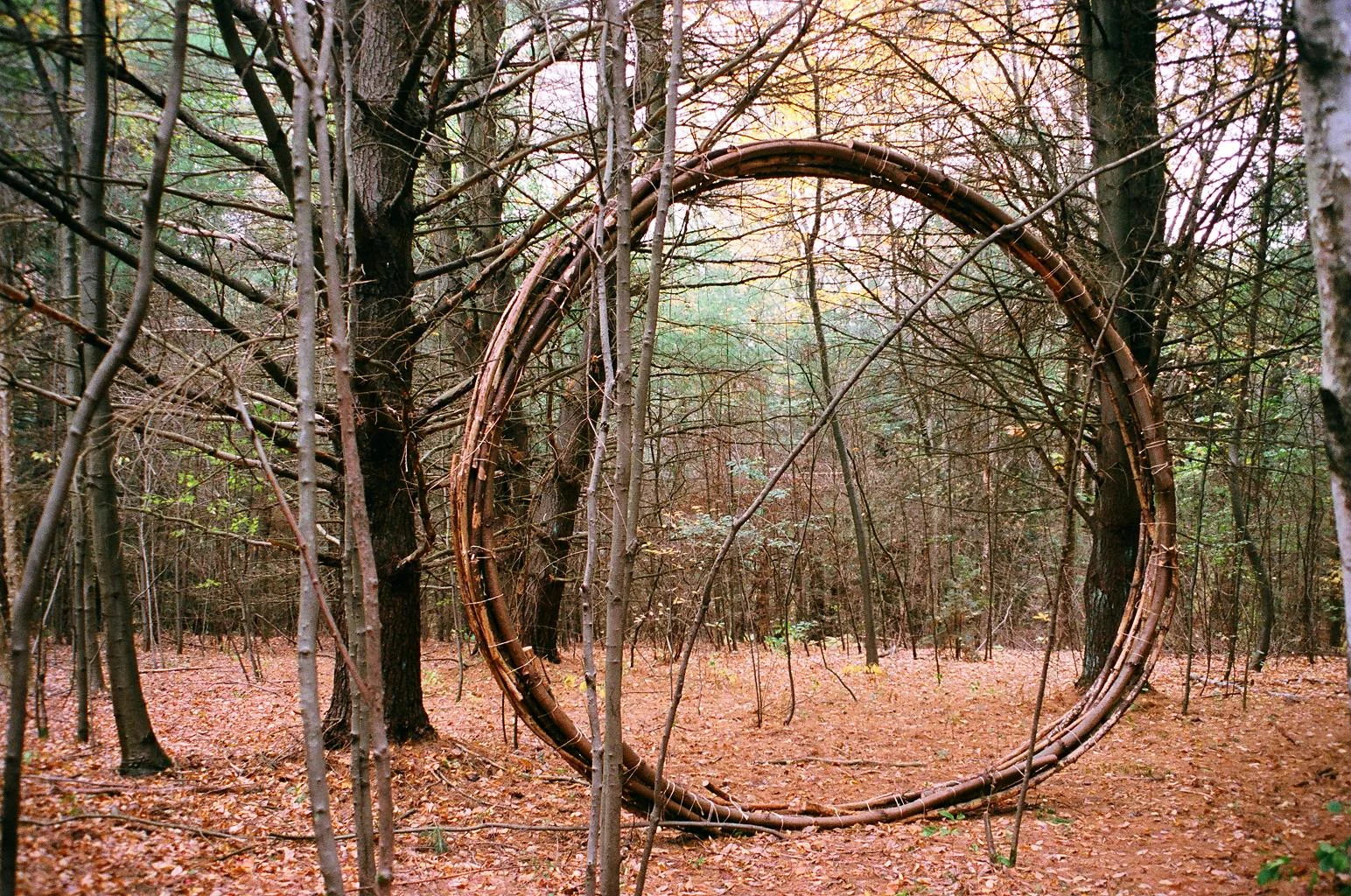 006_19.JPG