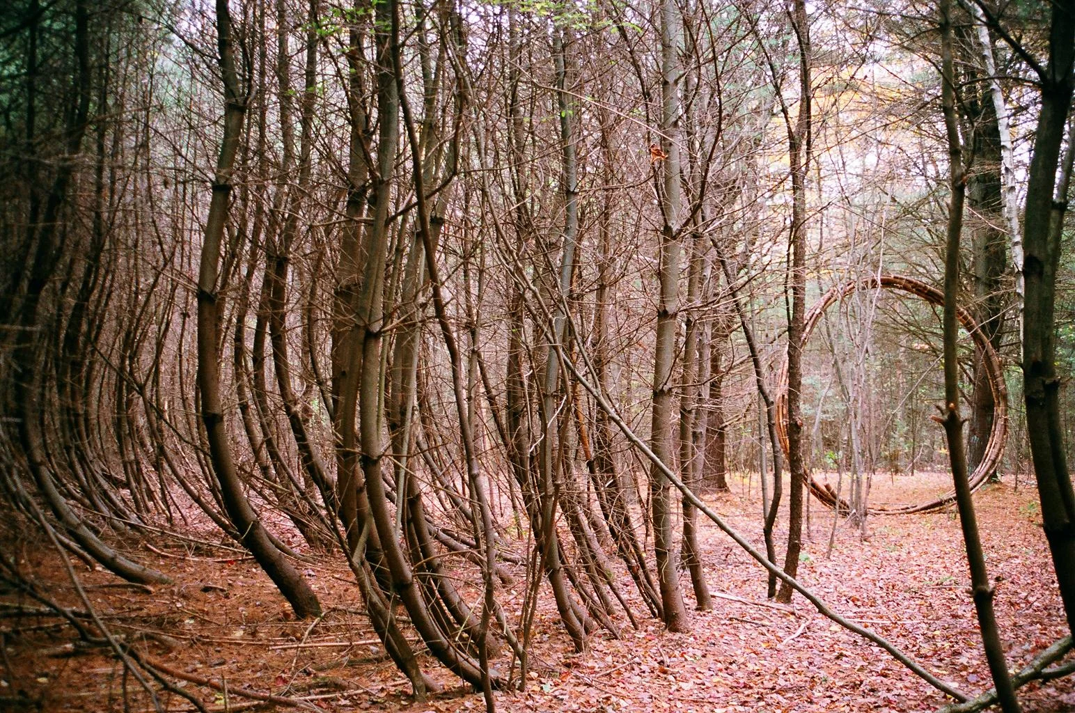 009_16.JPG