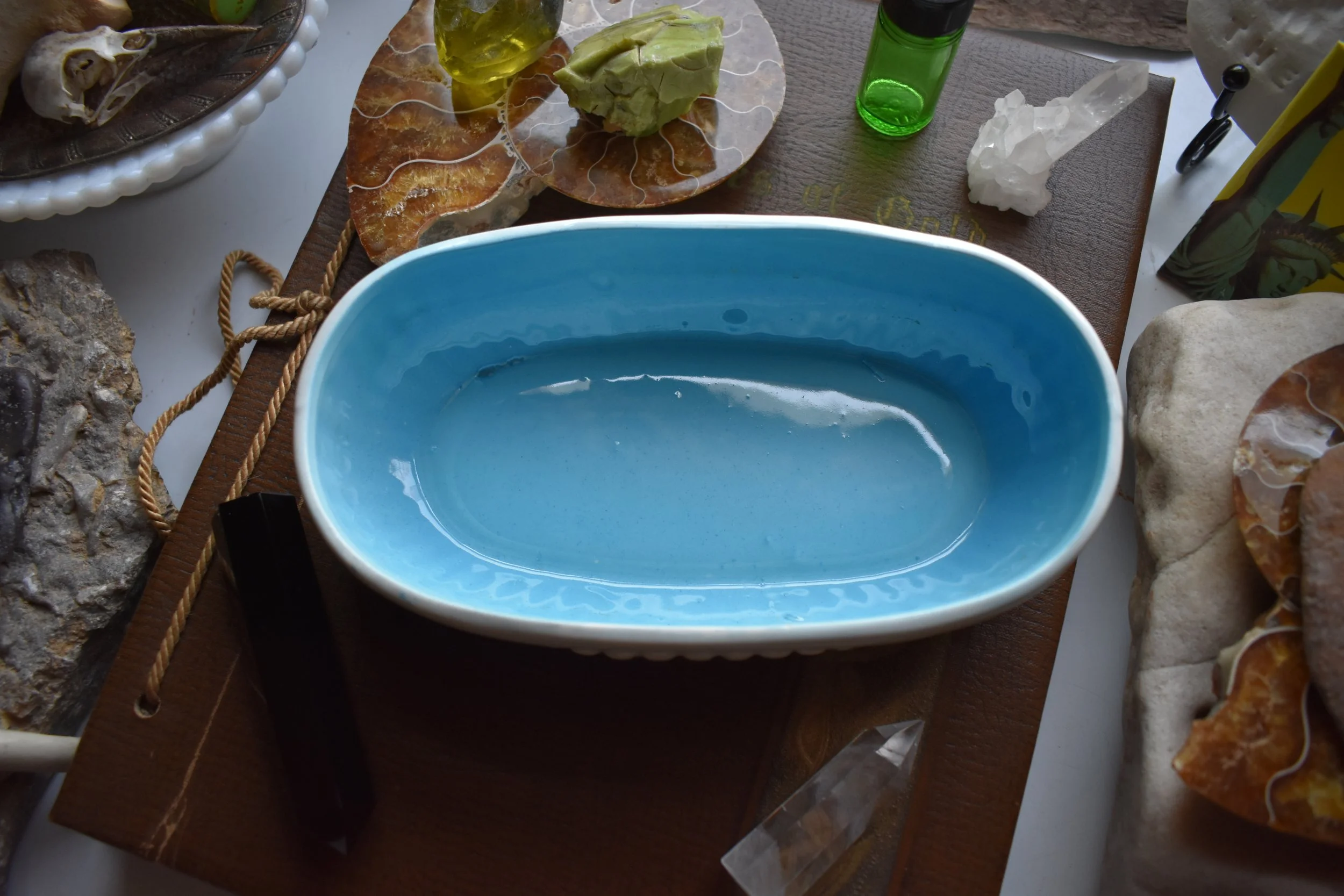 DSC_0020.JPG